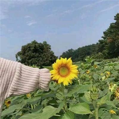 剑侠世界2国际版手游下载